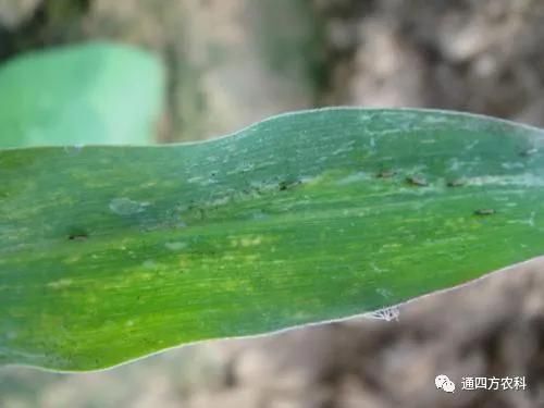 ���הQ����ô�k����ץ�o��Q��Ӱ푮a(ch��n)��!!!