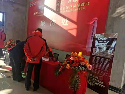 ����_������|����ʡ����