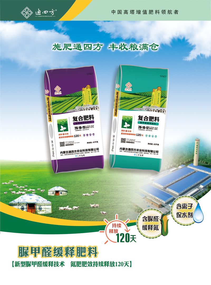 ���ȩ��ጷ���